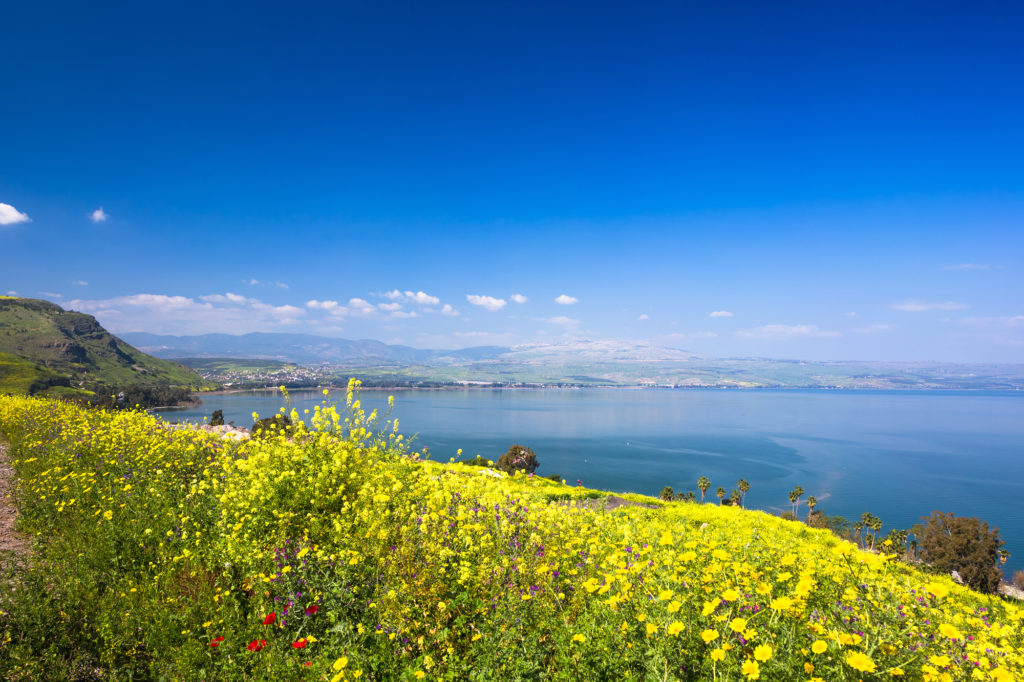 sea of Galilee